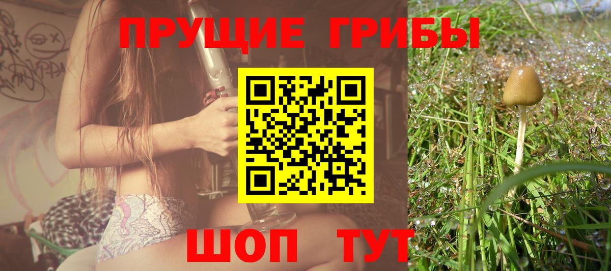 Псилоцибиновые грибы GOLDEN TEACHER Норильск